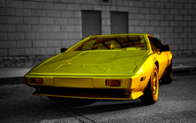Technical Guide to Dellorto Carburetors on the Lotus Esprit