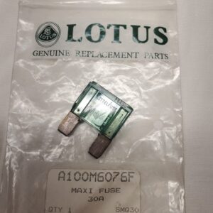 A100M6076F - Maxi Fuse - 30A